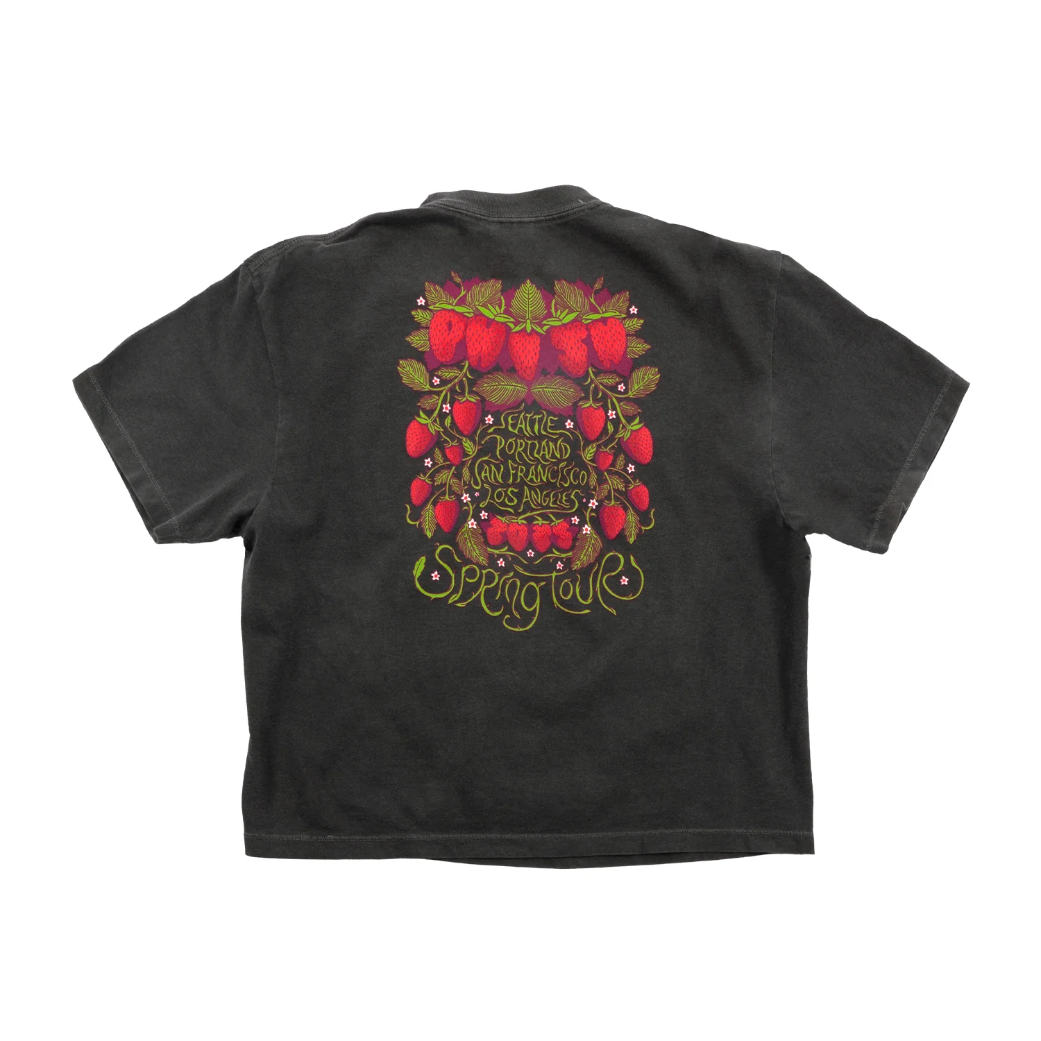 Strawberry Jam Spring Tour Women's Boxy Tee - Image 3